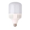 LEDs Alta Potencia Tipo T20W E27 3000K