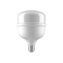 LEDs Alta Potencia Tipo T40W E27 6500K