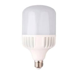 LEDs Alta Potencia Tipo T100W E27 6500K
